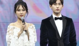 杨紫成毅最新爆料,幕后故事与情感纠葛